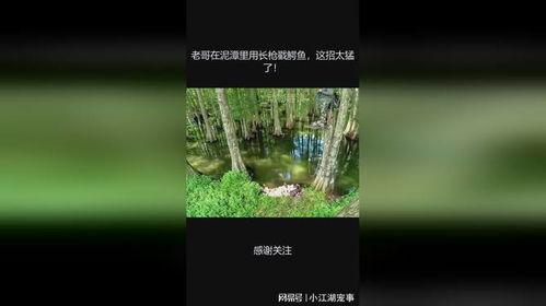 泥潭老哥爆料视频,揭秘事件背后惊人真相  第3张