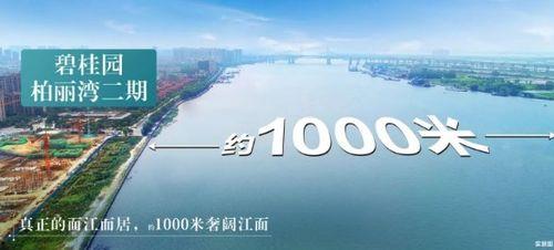东莞都市爆料视频,揭秘城市生活背后的真实故事 第3张 东莞都市爆料视频,揭秘城市生活背后的真实故事 第3张